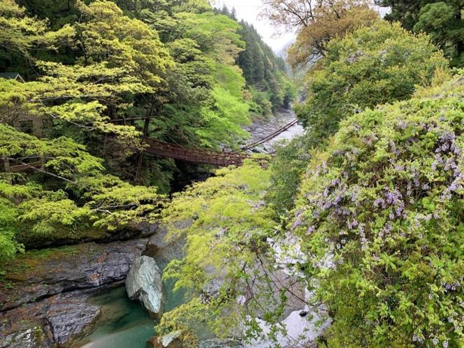 Iya Kankou Ryokan Мийоши Екстериор снимка